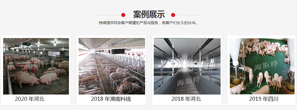 山東海斯特創(chuàng)智實業(yè)有限公司